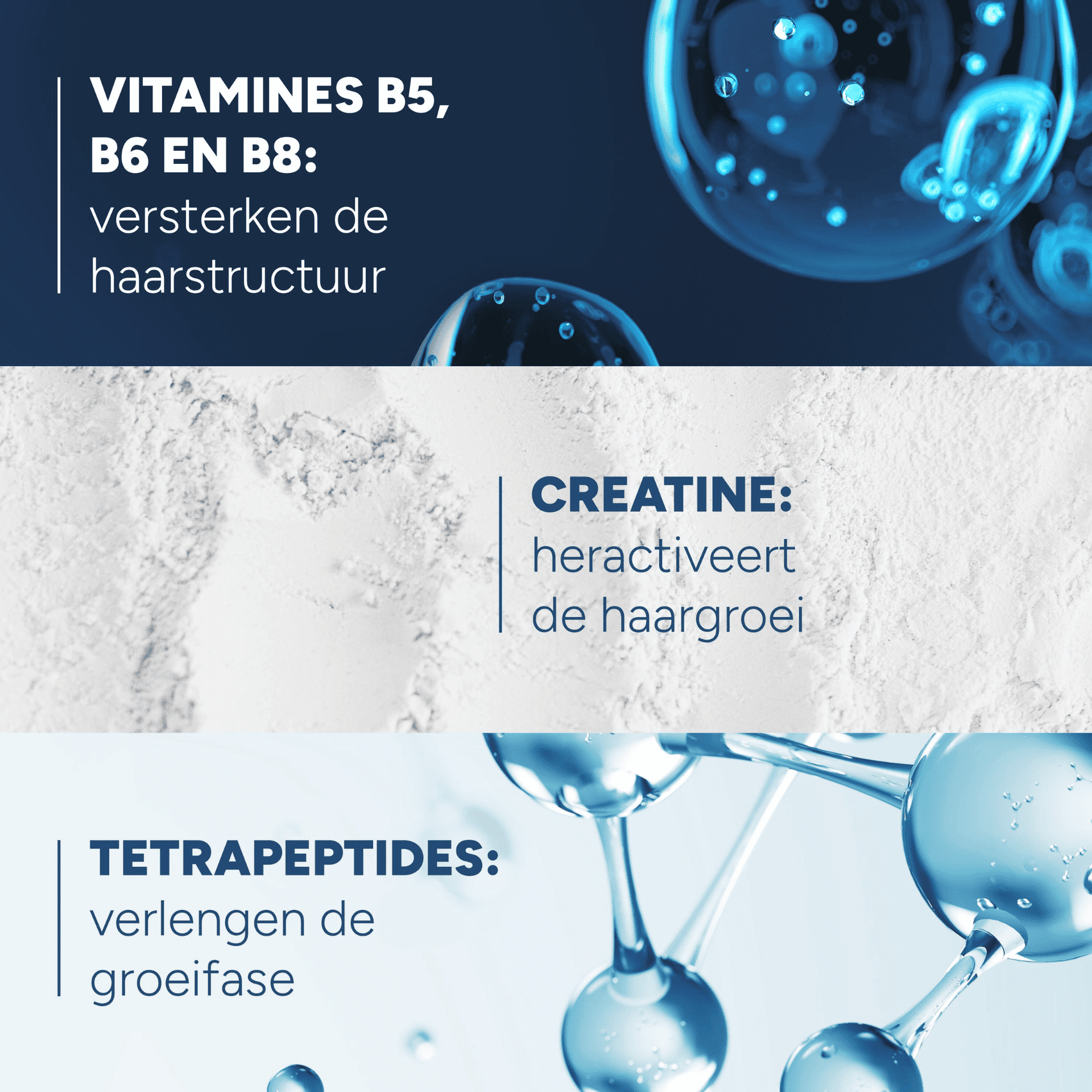 Ducray Anaphase Creastim Lotion Antichute et Croissance
