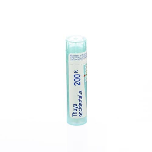 Boiron Thuya Occidentalis 200K Granulen Boiron Thuya Occidentalis 200K Granulen