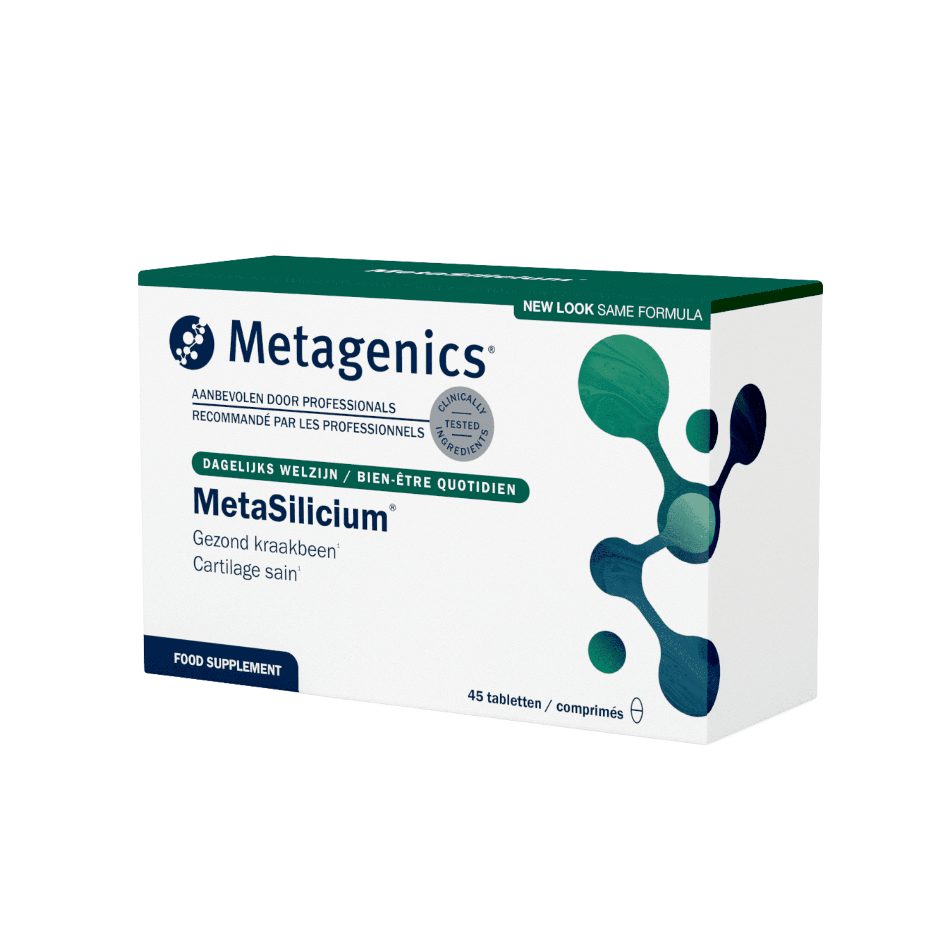 MetaSilicium MetaSilicium