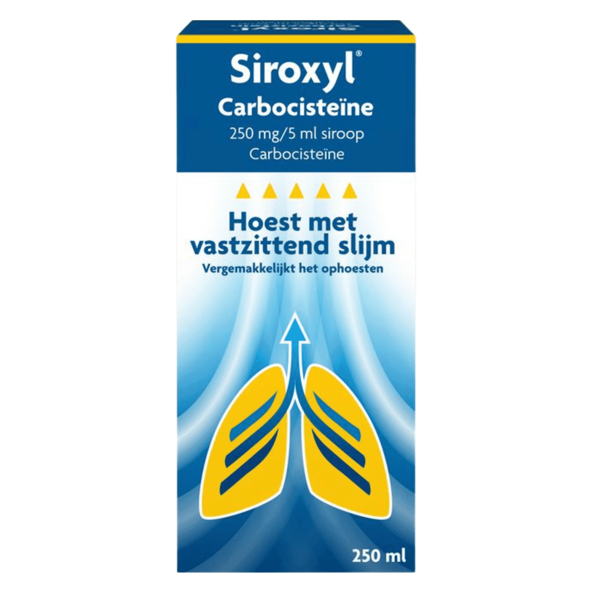 Siroxyl Carbocisteïne 250 mg/5 ml Siroop Siroxyl Carbocisteïne 250 mg/5 ml Siroop