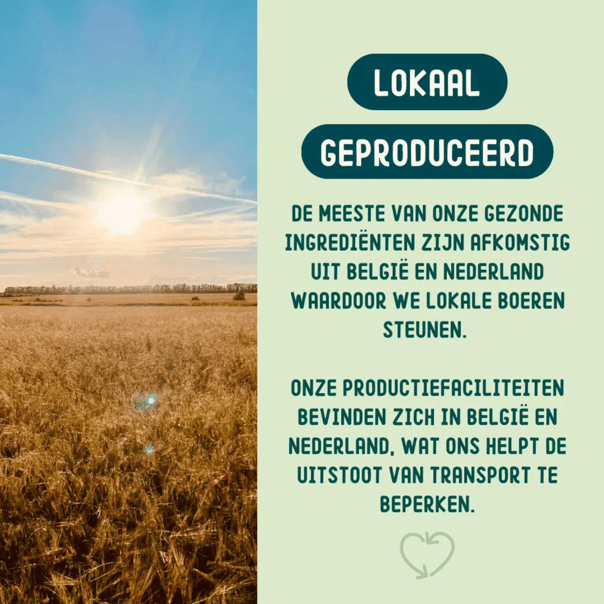 Imby Calming Supplement for Dogs Imby Calming Supplement for Dogs