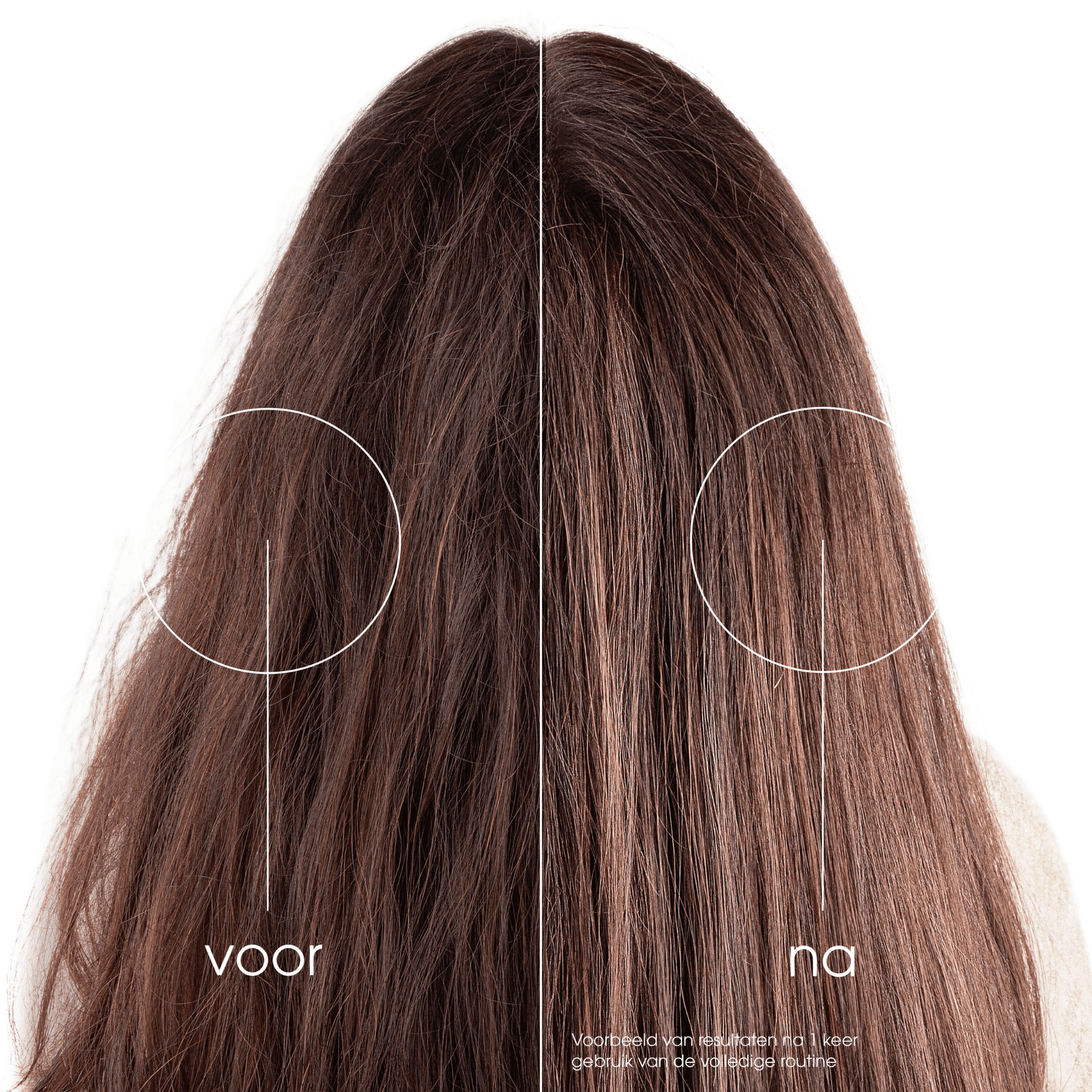 Klorane Cactusvijg Opvullend Masker