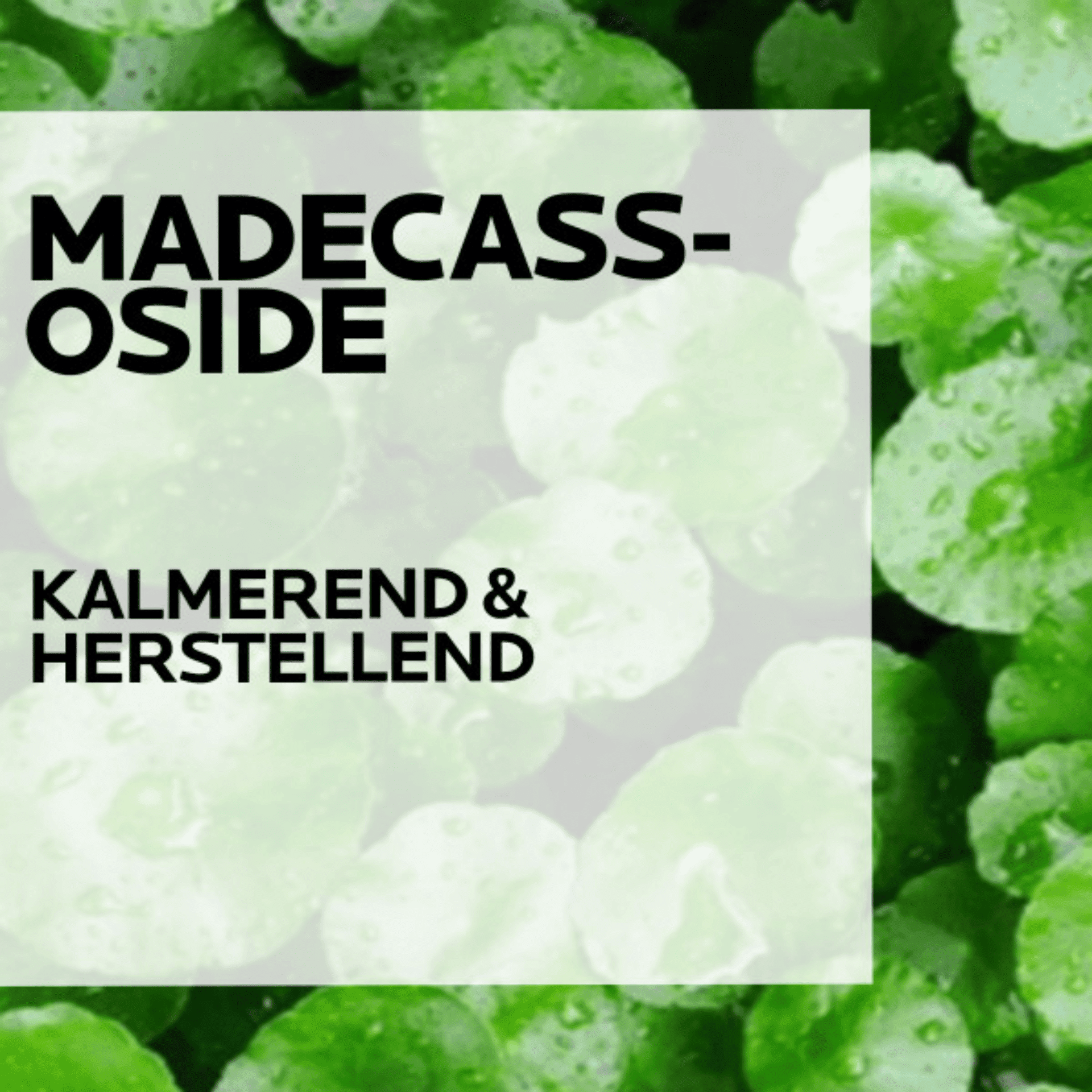 La Roche-Posay Hyalu B5 Serum La Roche-Posay Hyalu B5 Serum