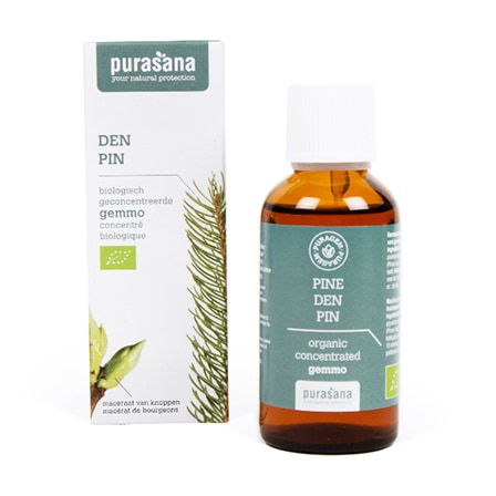 Purasana Puragem Den Purasana Puragem Den