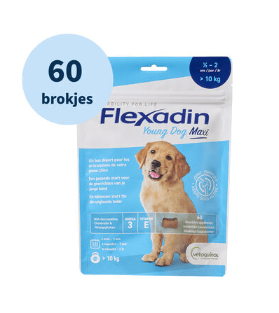 Flexadin Young Dog Maxi Chews