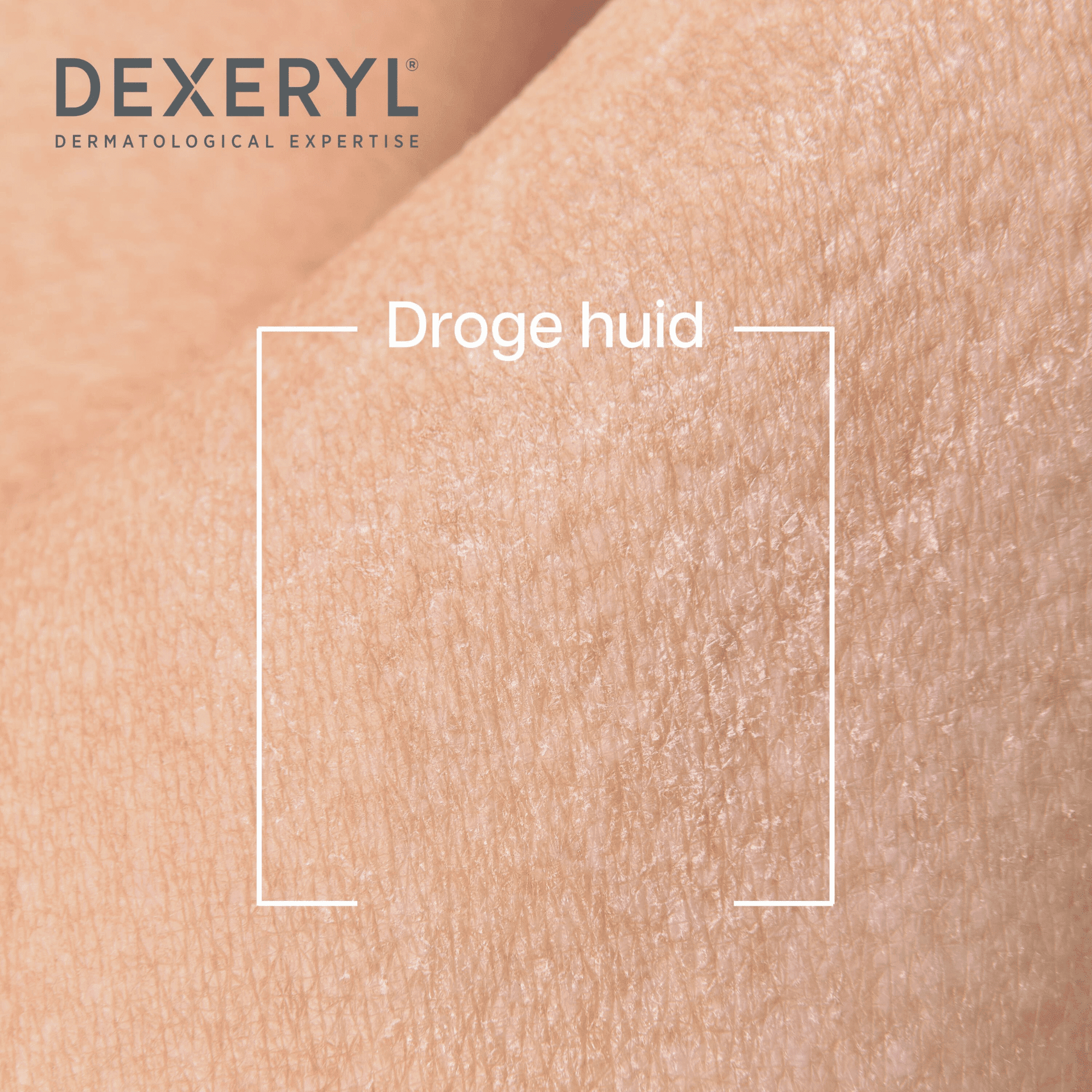 Dexeryl Huile Lavante Fl Pompe 500ml Dexeryl Huile Lavante Fl Pompe 500ml