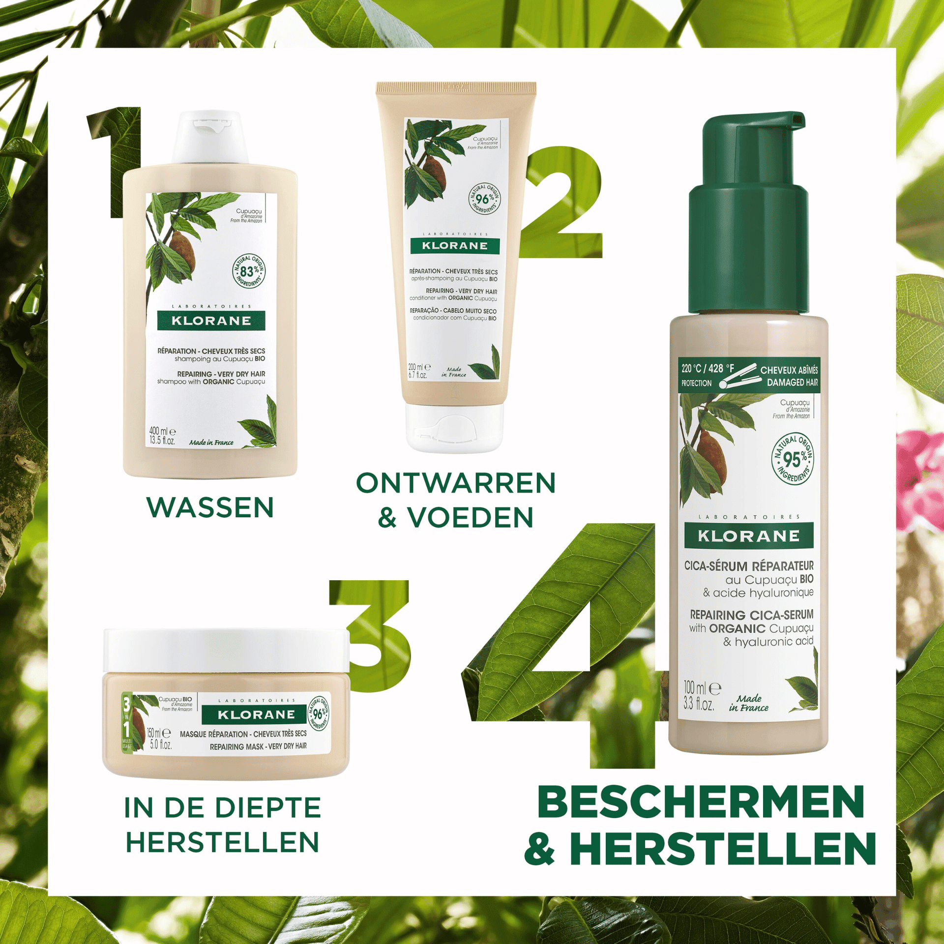 Klorane Cupuaçu Herstellend Cica-Serum