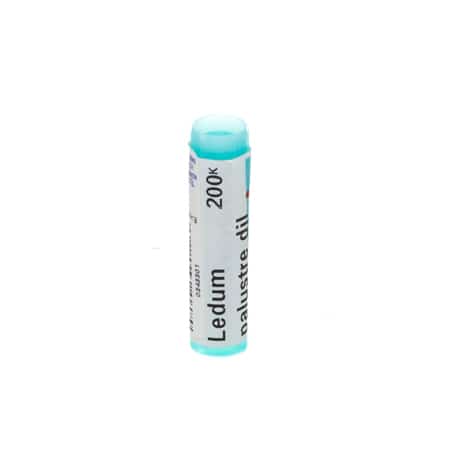 Boiron Ledum Palustre 200K Globulen