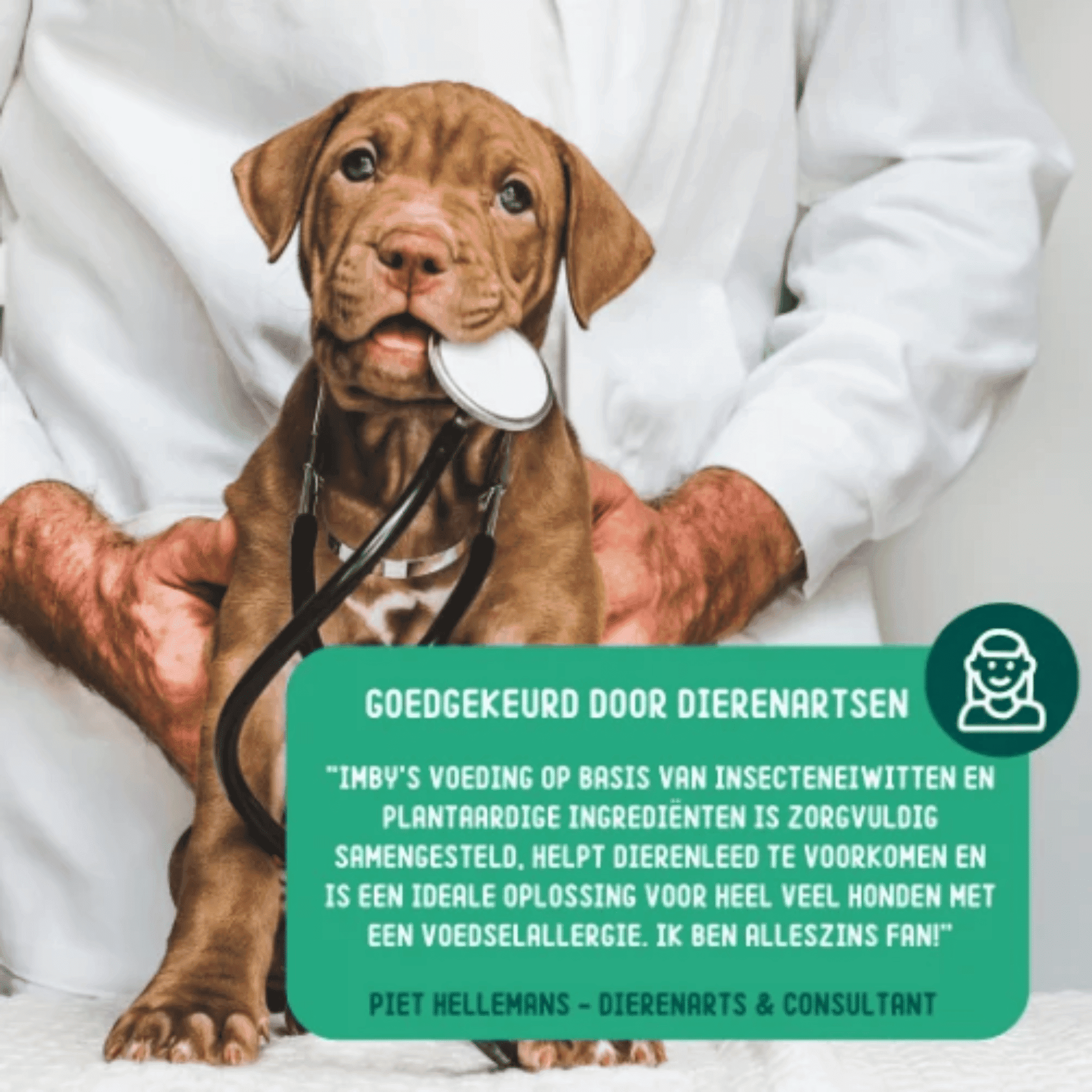 Imby Nibbles Snooze & Sleep Imby Nibbles Snooze & Sleep