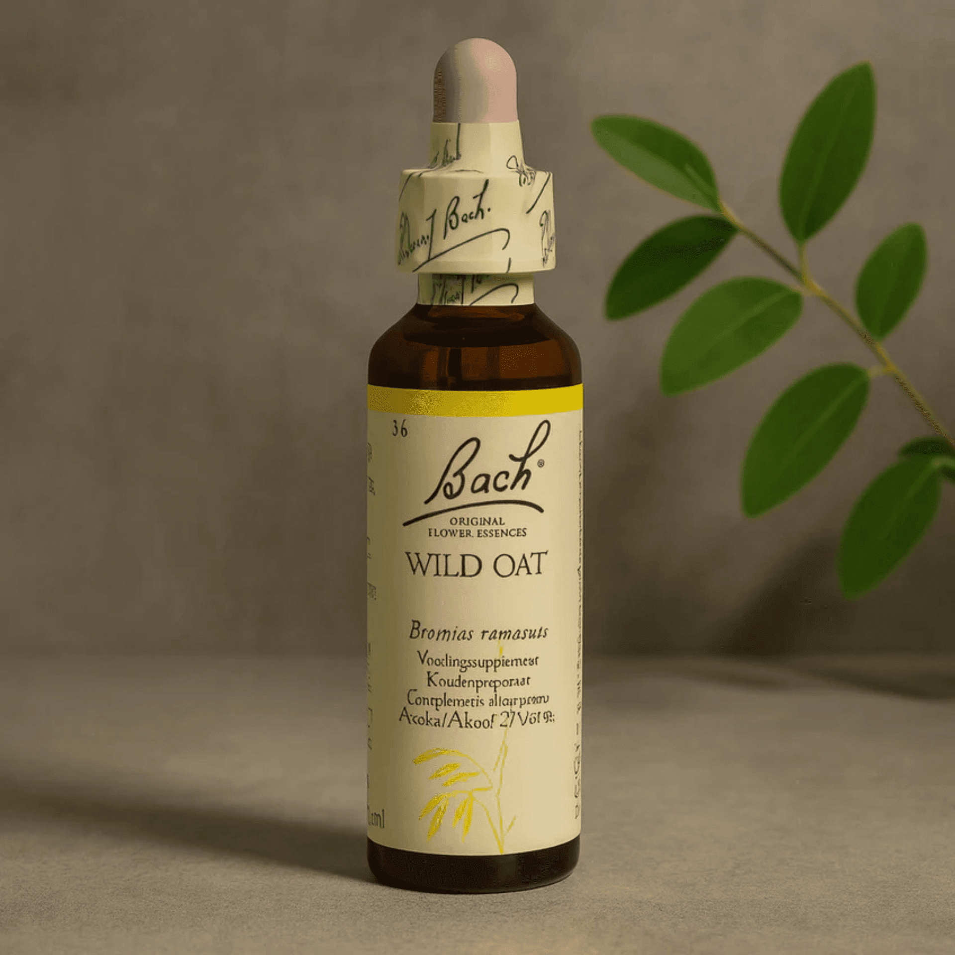 Bach Bloesem Dravik 36 Wild Oat
