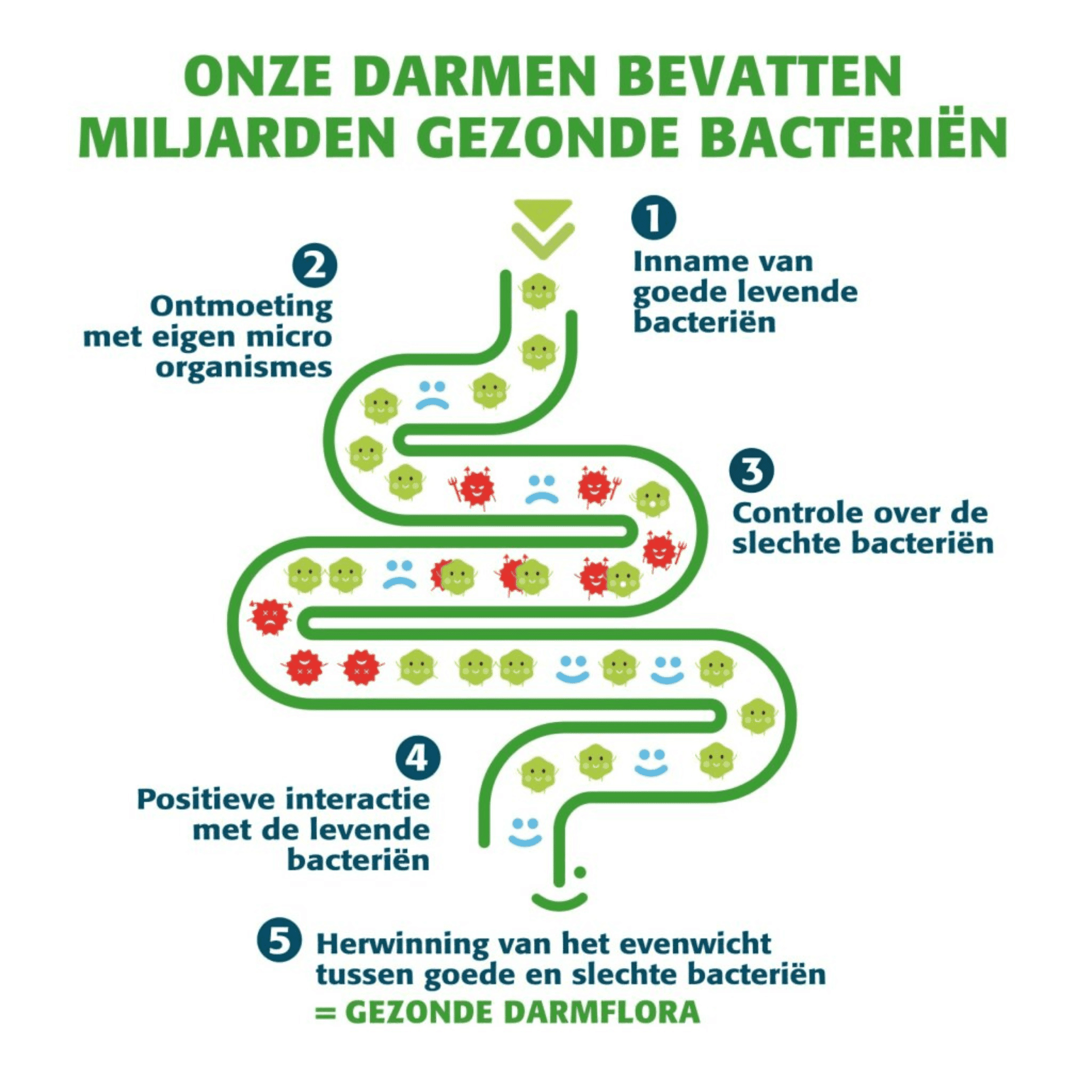 Bactiol Plus Bactiol Plus