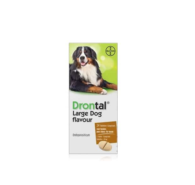 Drontal Large Dog Tasty Drontal Large Dog Tasty