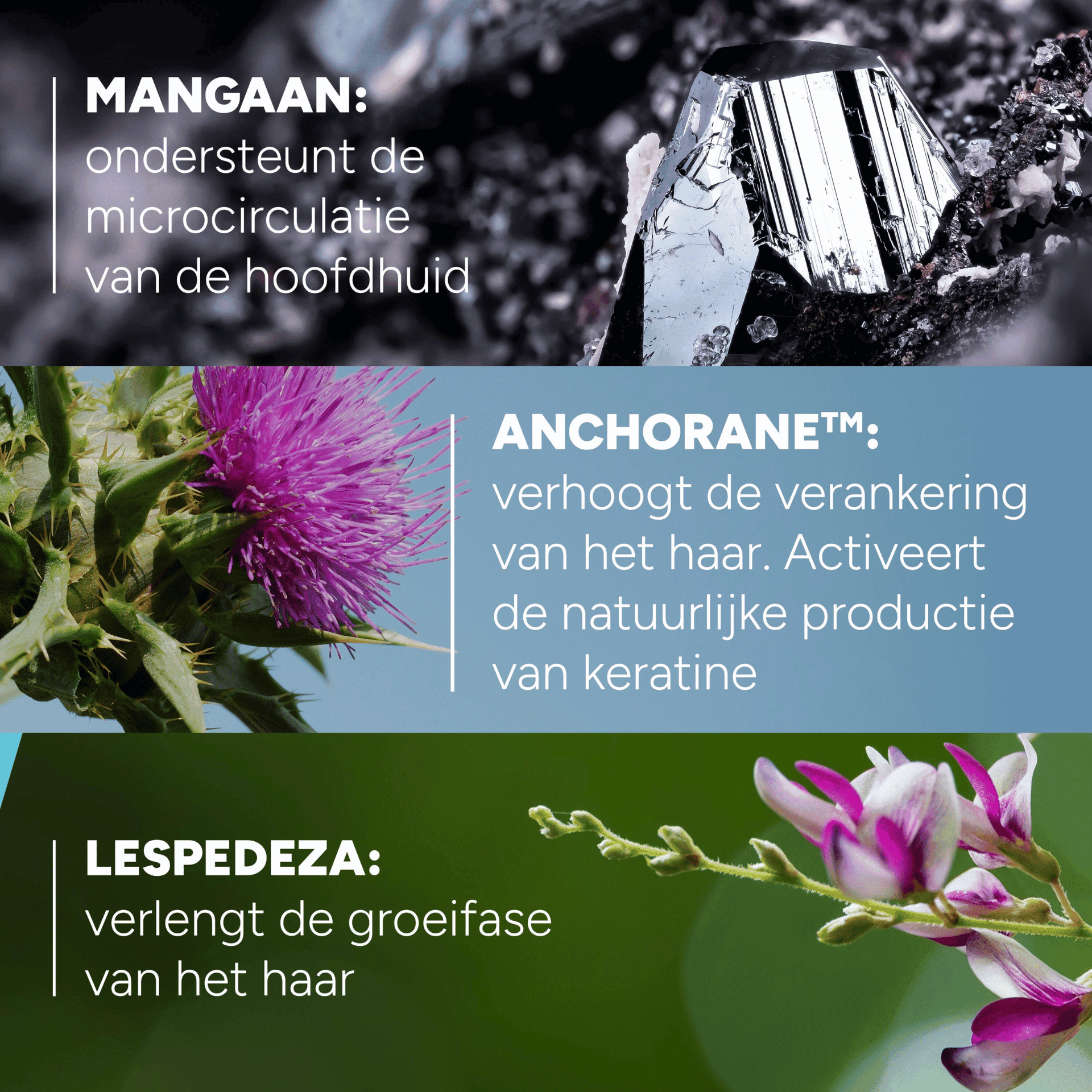 Ducray Anaphase Neoptide Sérum Antichute et Ancrage