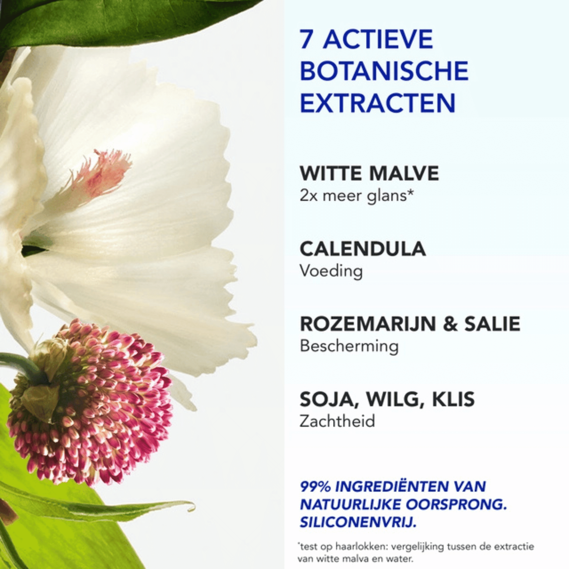 Phyto 7 Elixir Creme 100ml Phyto 7 Elixir Creme 100ml