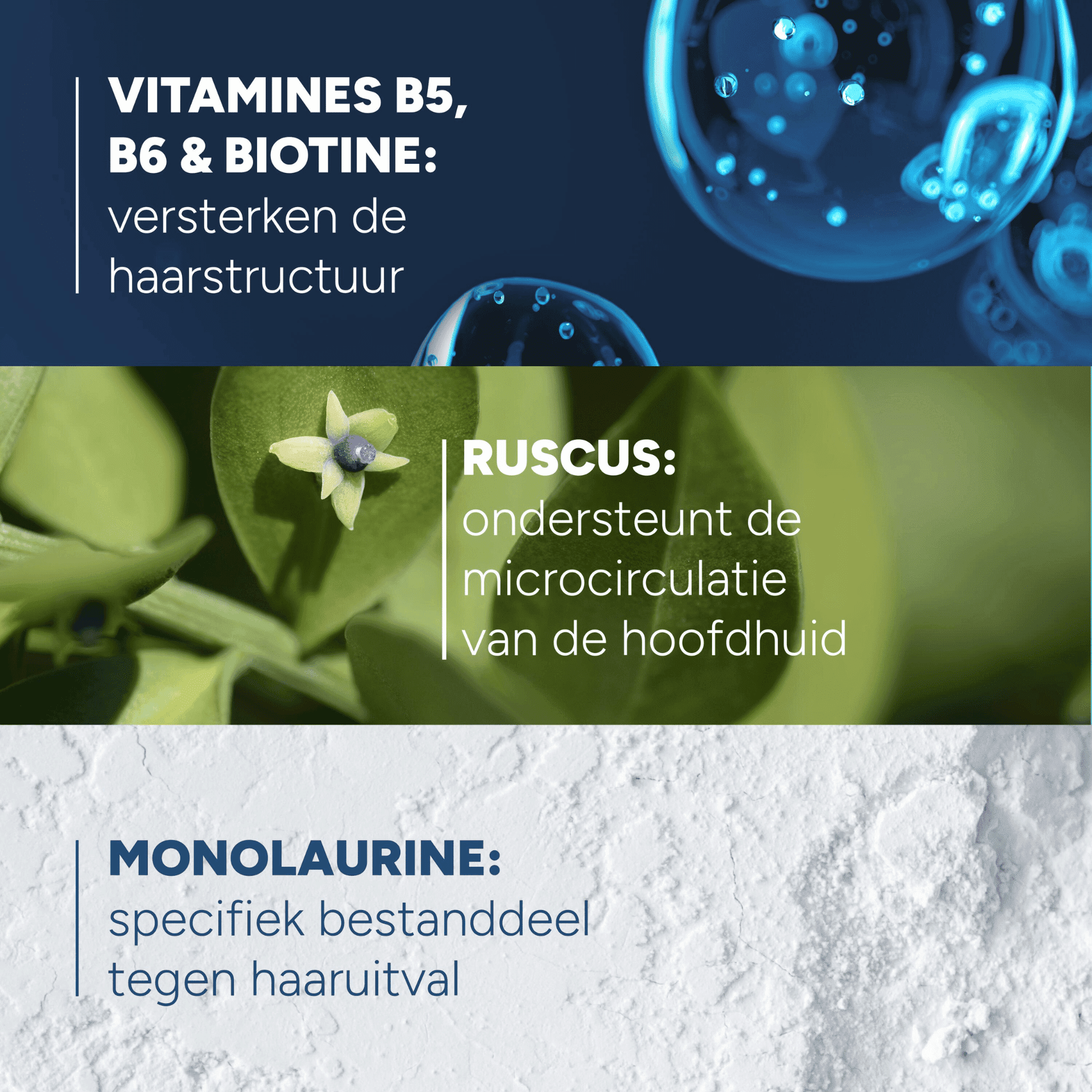 Ducray Anaphase Anti-Hair Loss & Anti-Thinning Shampoo Ducray Anaphase Anti-Hair Loss & Anti-Thinning Shampoo