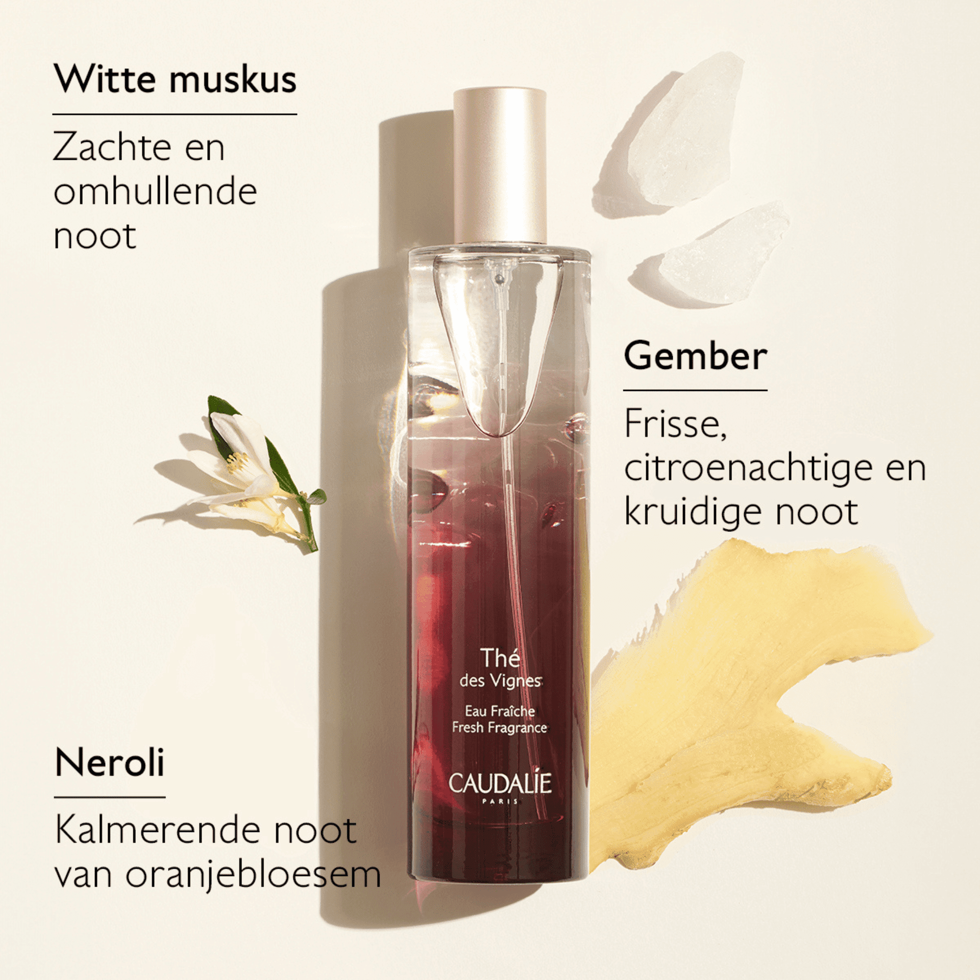 Caudalie Thé des Vignes Eau Fraîche + Douchegel + Kaars Geschenkset