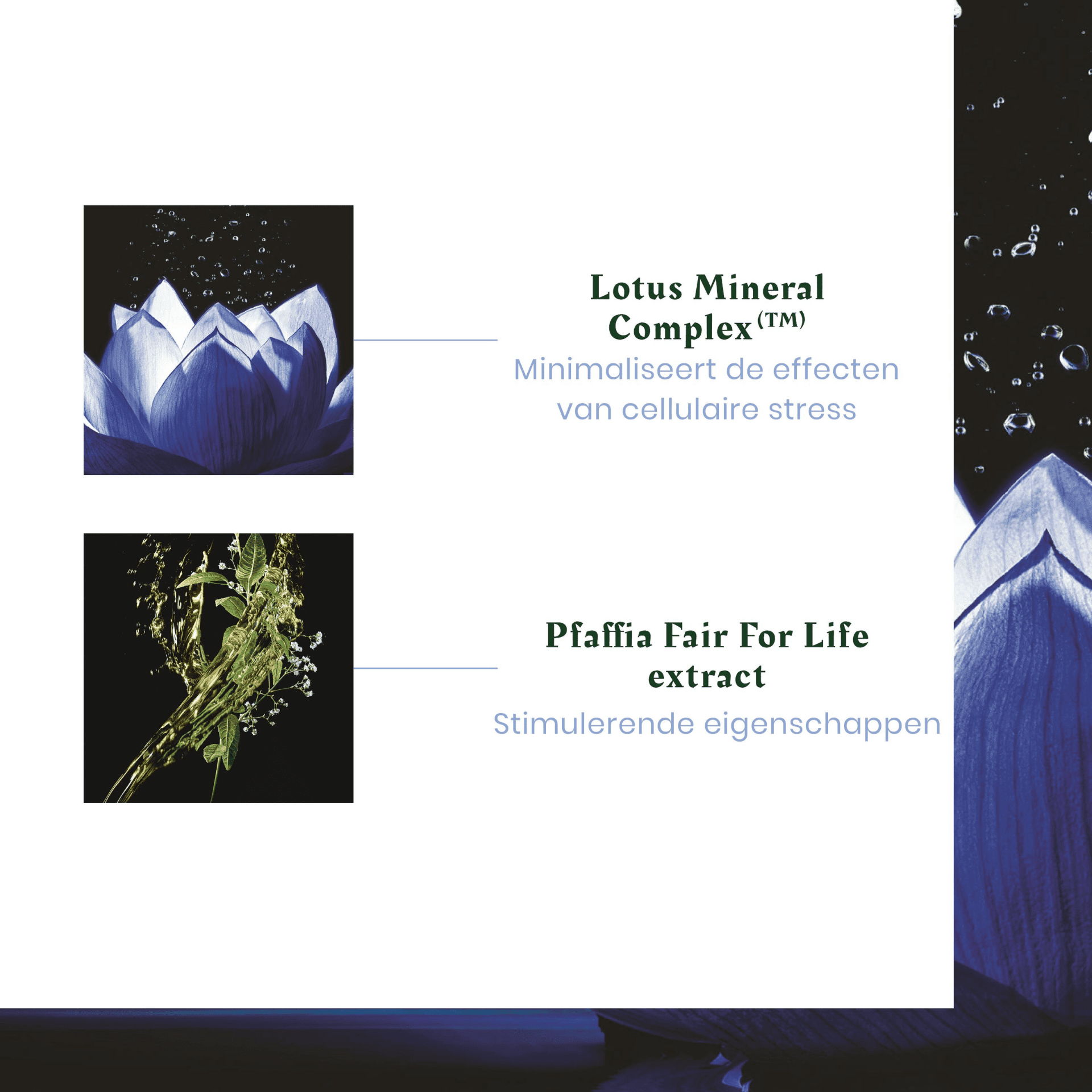 Furterer Triphasic Reactional Amp 12x5ml Nf Furterer Triphasic Reactional Amp 12x5ml Nf