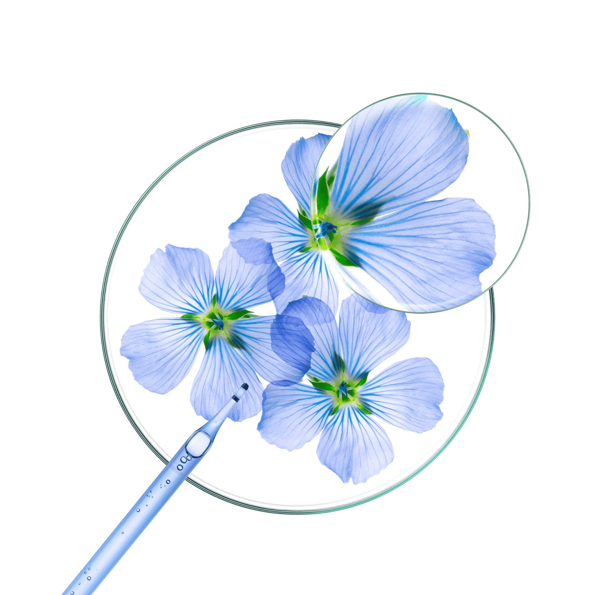 Klorane Vlas Shampoo voor Extra Volume Klorane Vlas Shampoo voor Extra Volume