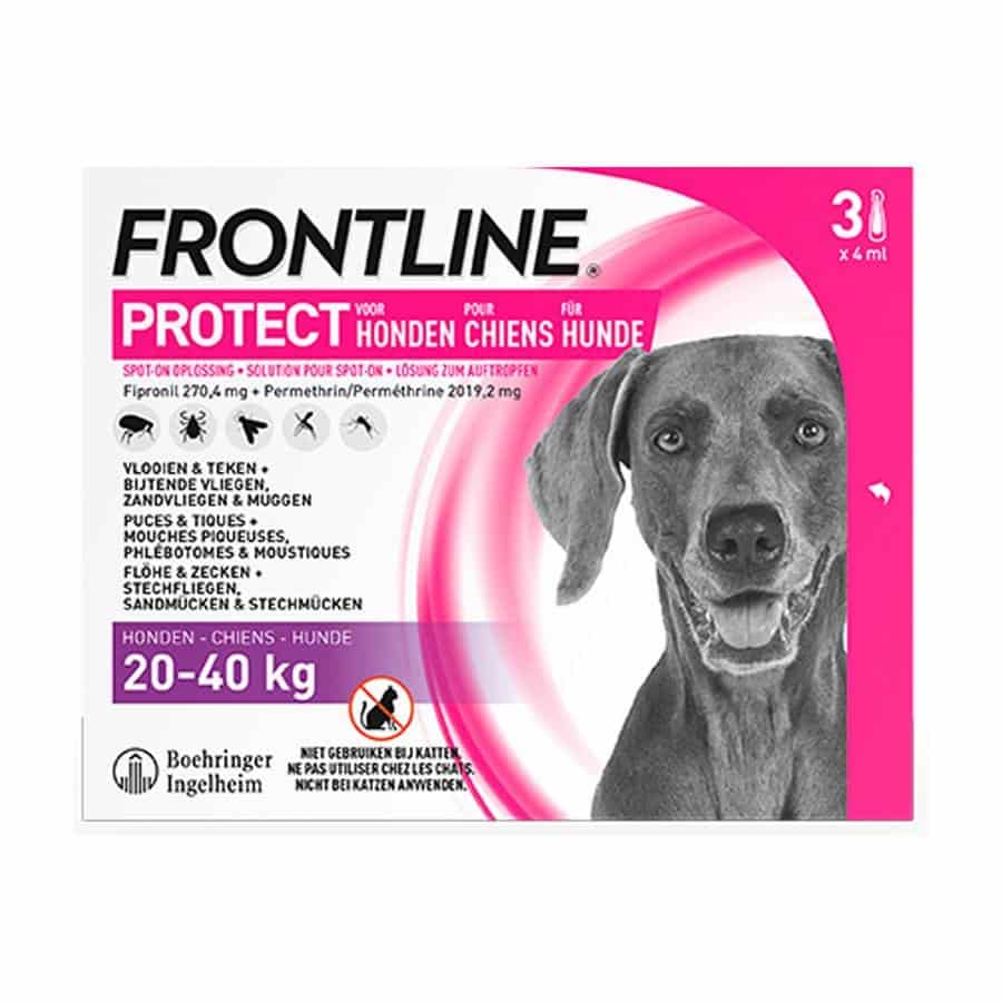 Kamer zelfmoord verzameling Frontline Protect Spot-On Hond 20-40 kg 3 x 4 ml - online bestellen |  Optiphar