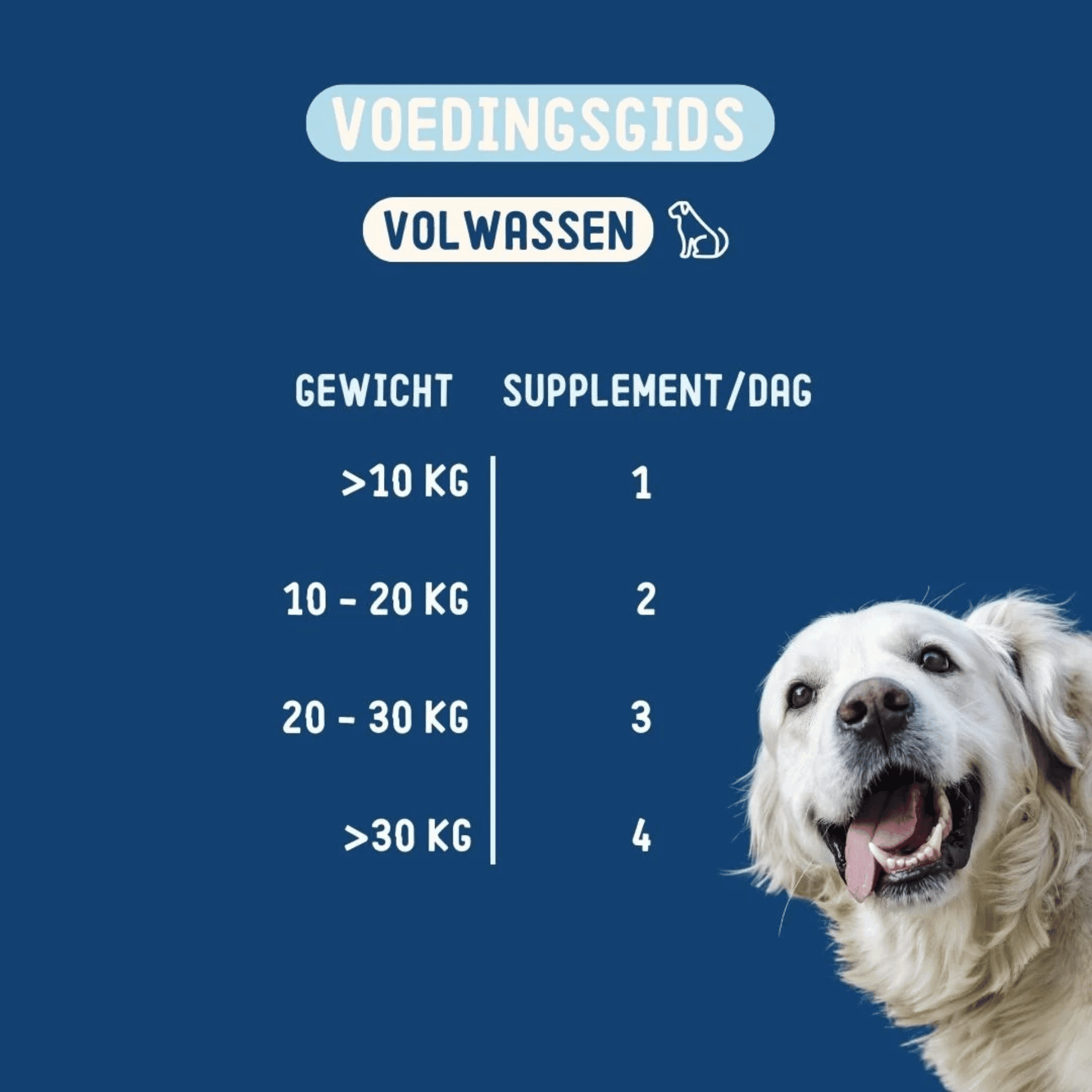 Imby Probiotics Supplement for Dogs Imby Probiotics Supplement for Dogs