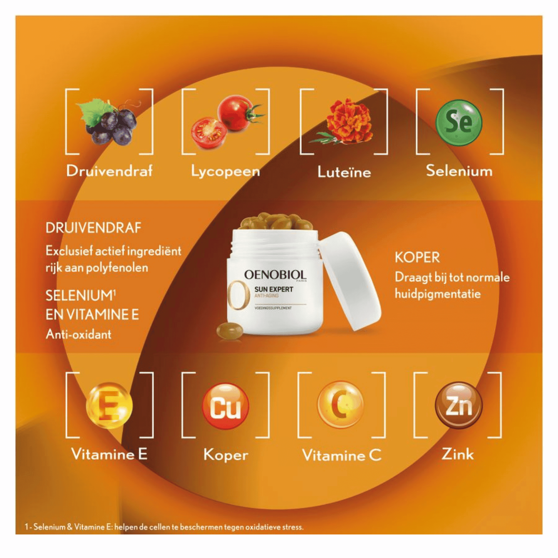 Oenobiol Sun Expert A/age Caps 2x30 Oenobiol Sun Expert A/age Caps 2x30