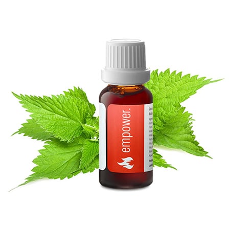 Empower Kruidendruppels Empower Kruidendruppels