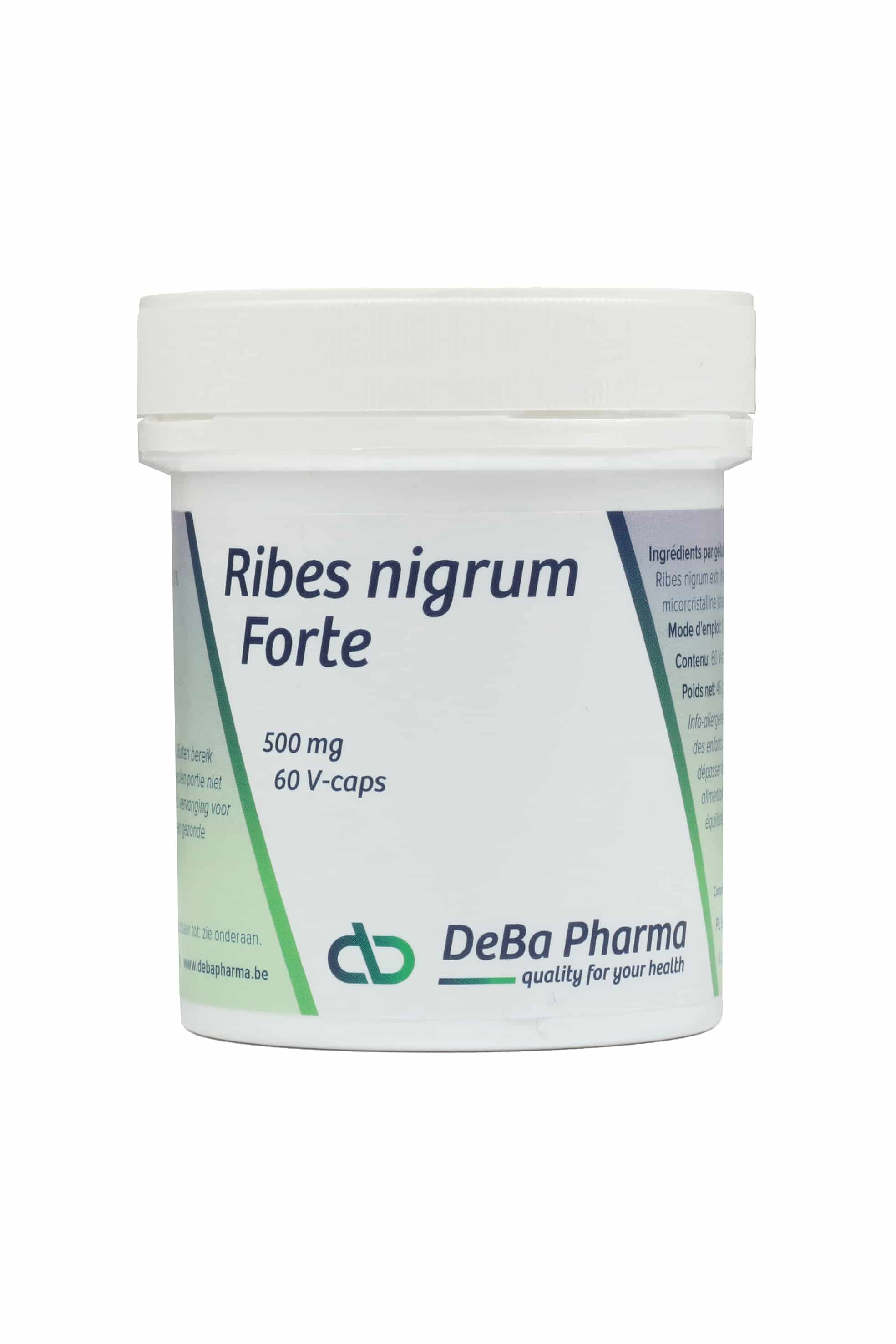 Deba Ribes Nigrum