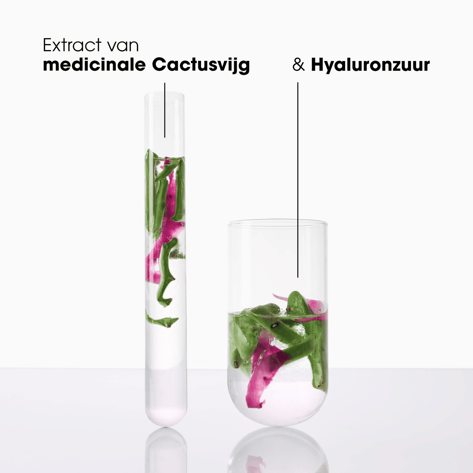 Klorane Cactusvijg Dorstlessend Serum met Hyaluronzuur Klorane Cactusvijg Dorstlessend Serum met Hyaluronzuur