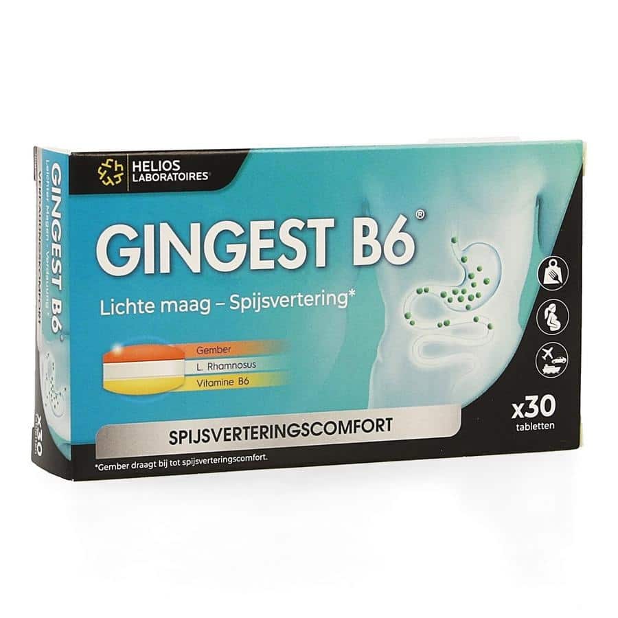 Gingest B6 Gingest B6