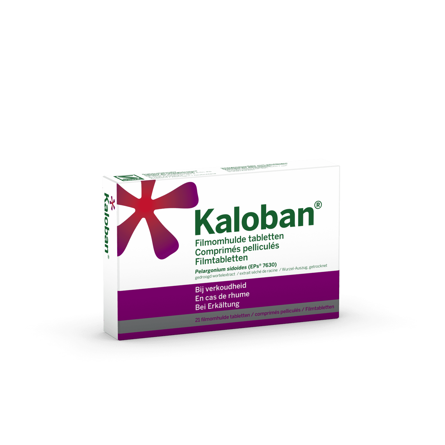 Kaloban Kaloban