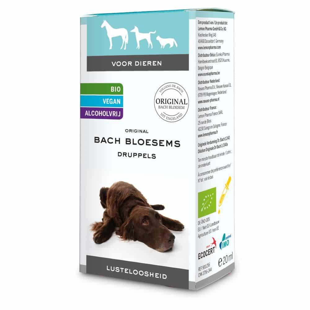 Bachbloesem Dieren Lusteloosheid Druppels Bachbloesem Dieren Lusteloosheid Druppels