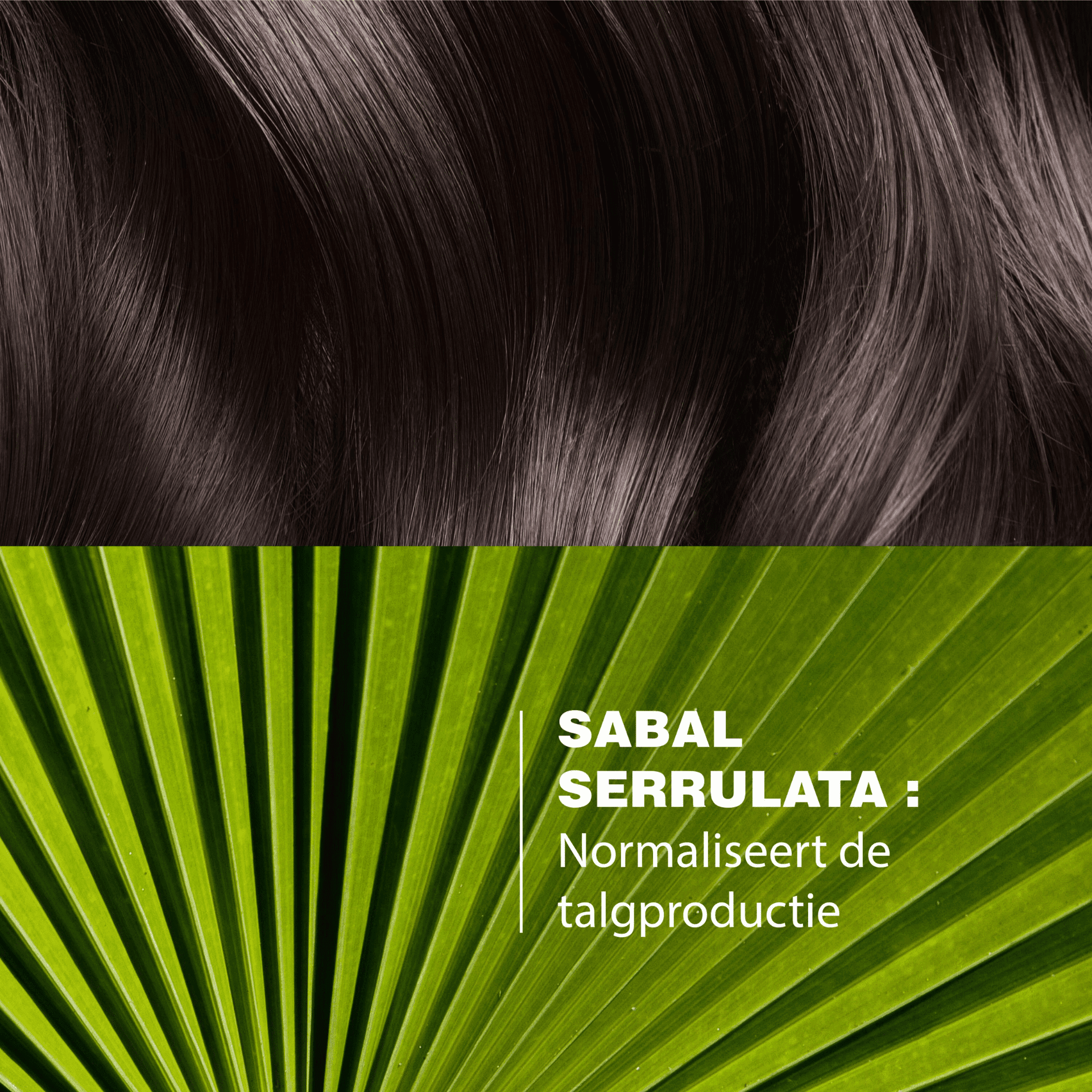 Ducray Sabal Talgregulerende Verzorgende Shampoo