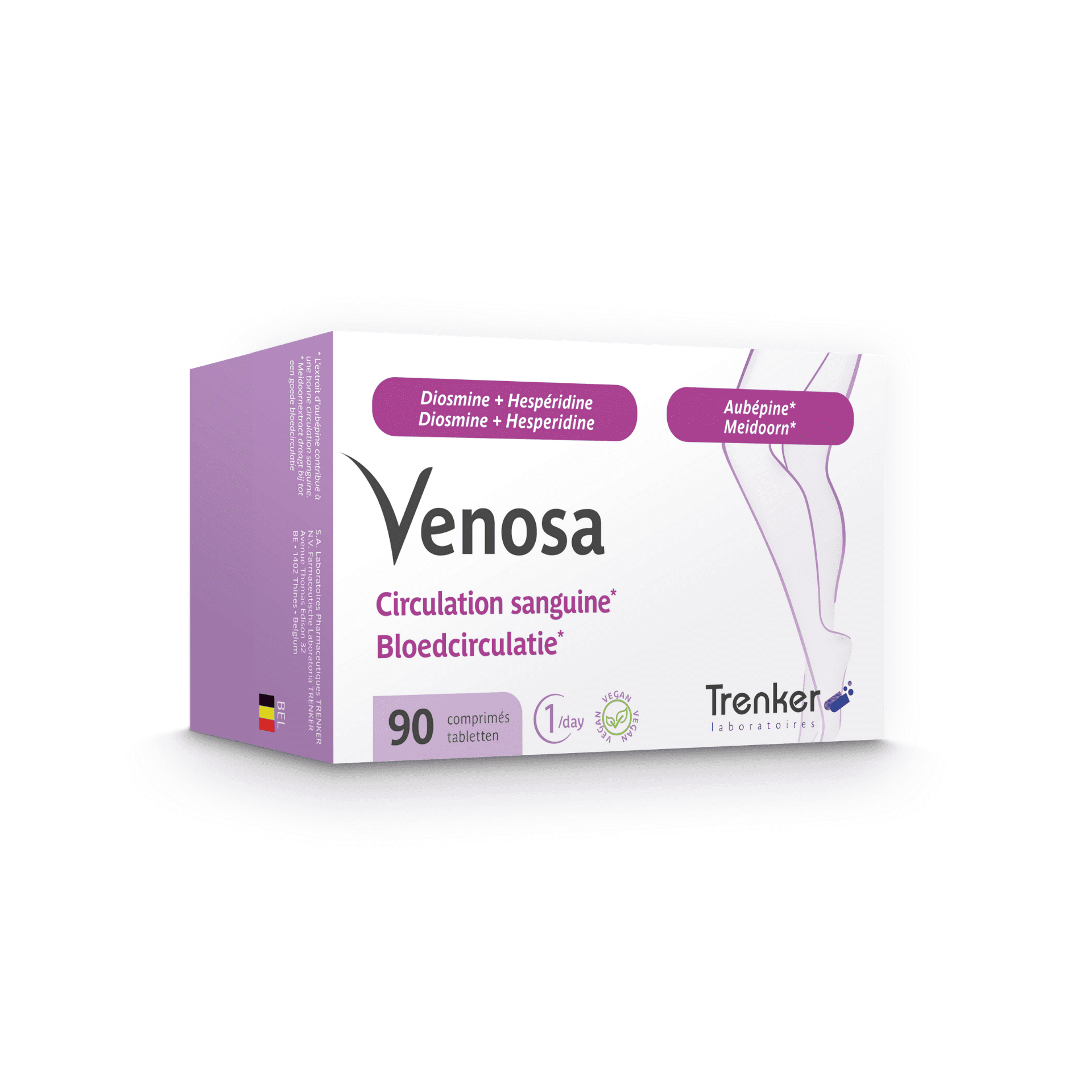 Venosa Bloedcirculatie Venosa Bloedcirculatie