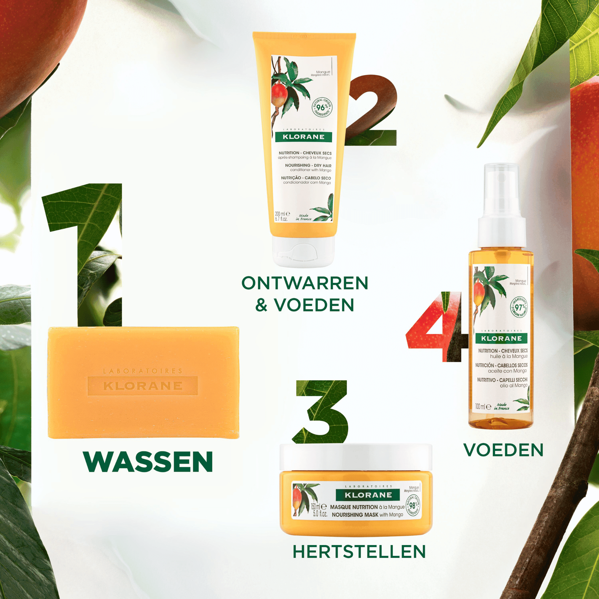 Klorane Capil. Sh Solide Mangue 80g