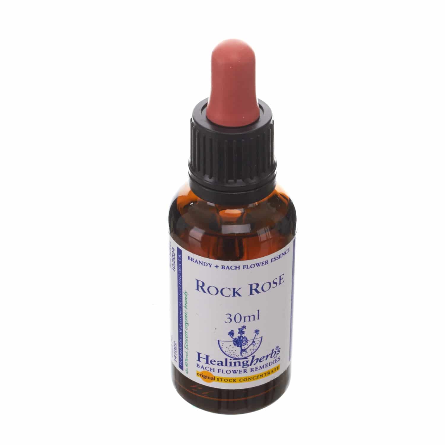 Healing Herbs Rock Rose