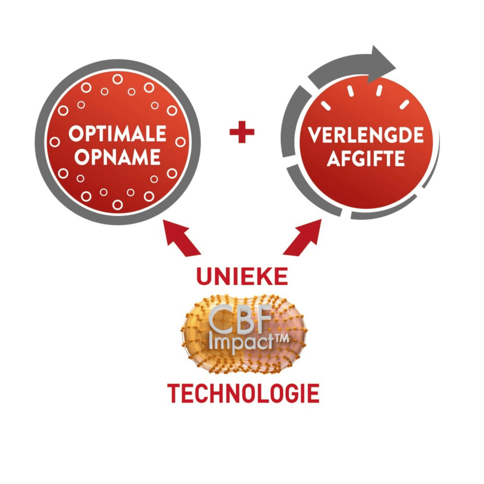 CurcuDyn Forte CurcuDyn Forte