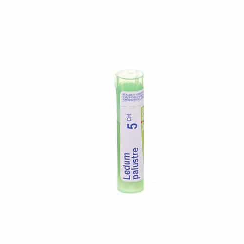 Boiron Ledum Palustre 5CH Granulen