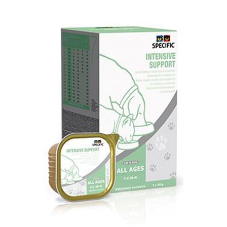 Specific Intensive Support Specific Intensive Support