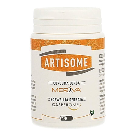 Artisome Artisome