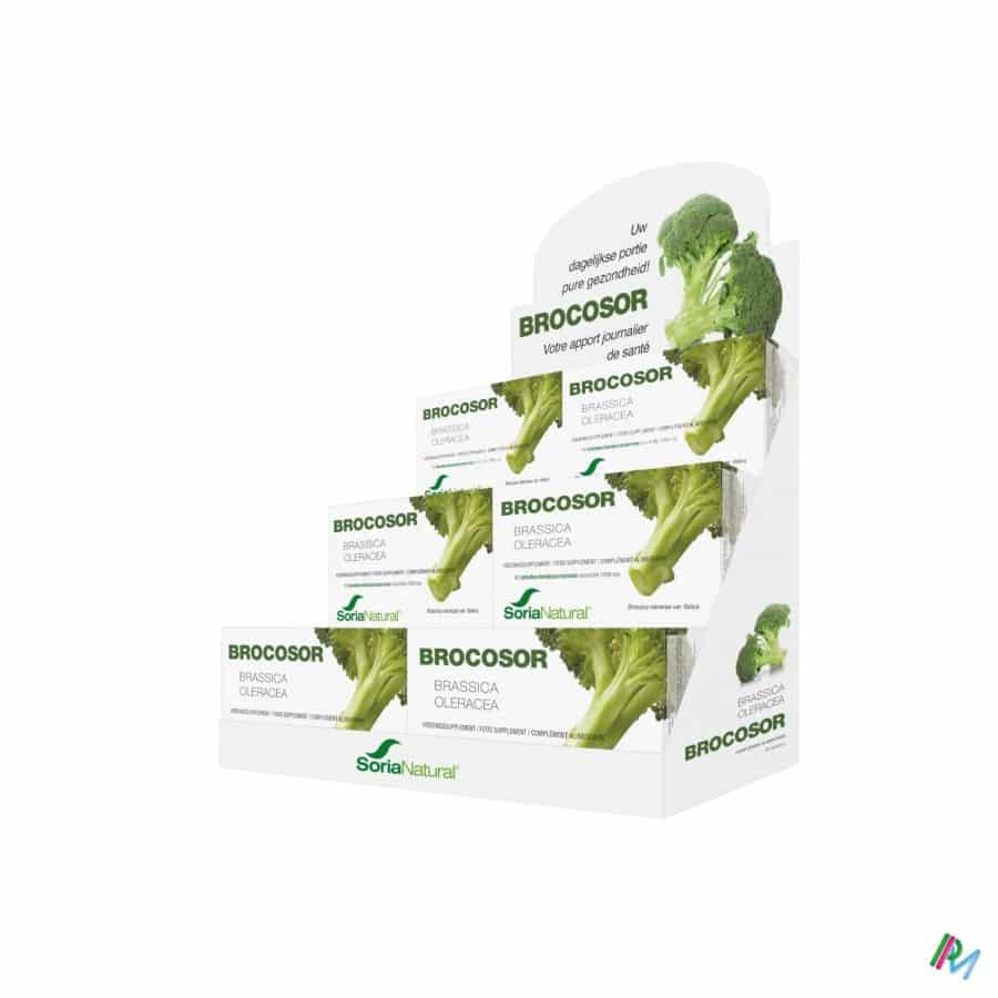Soria Brocosor Soria Brocosor