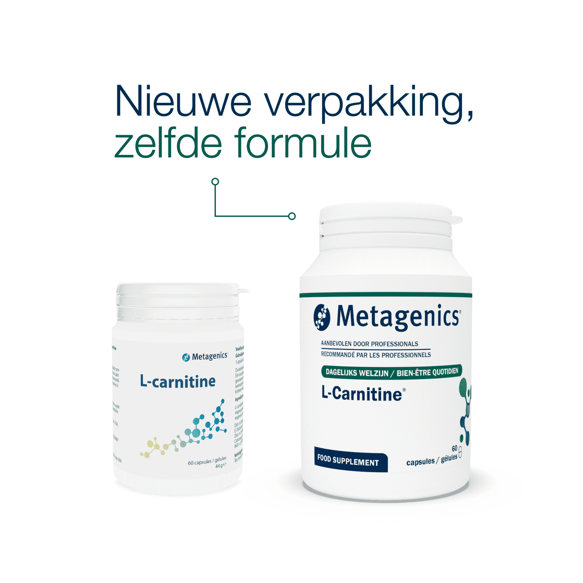 L-Carnitine