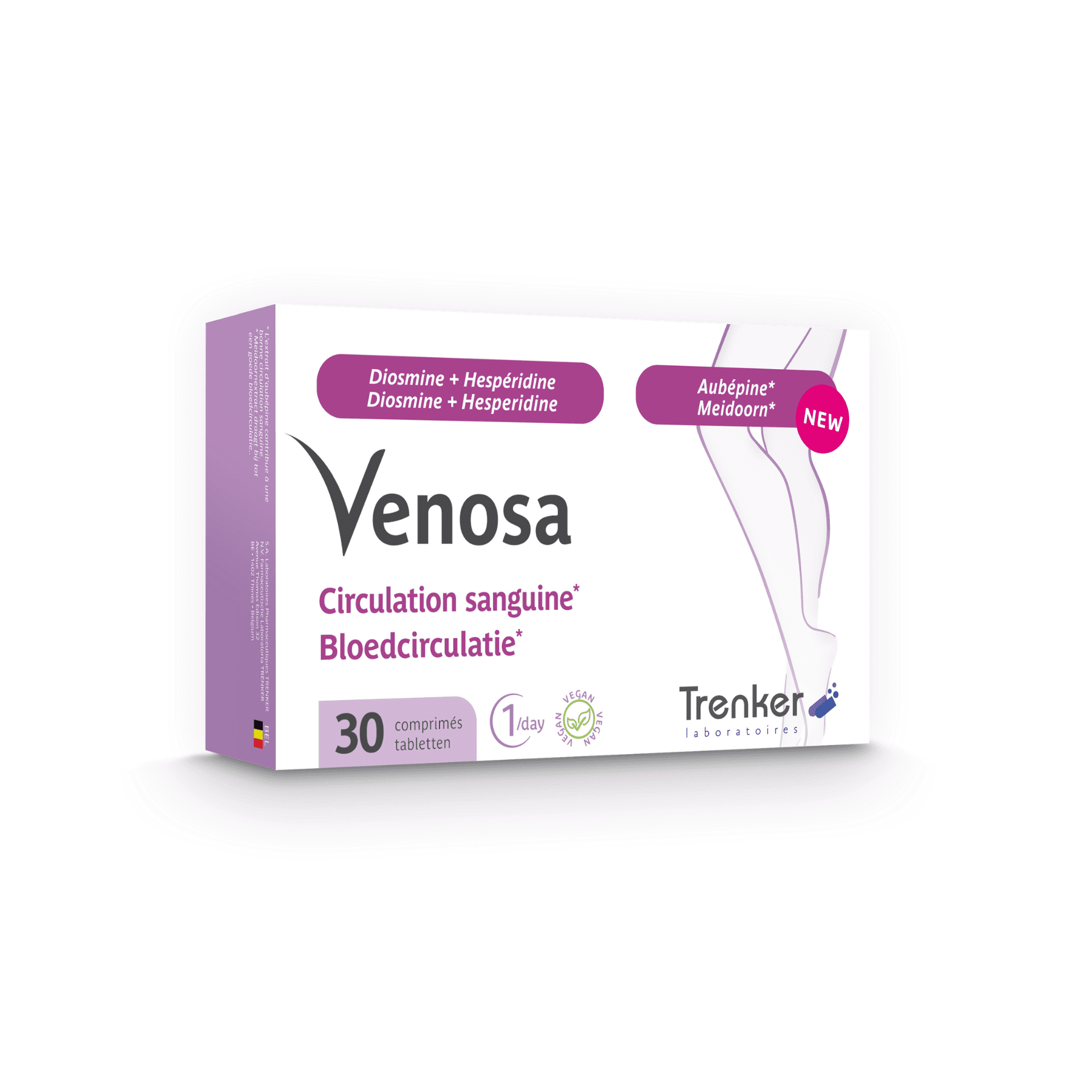 Venosa Bloedcirculatie