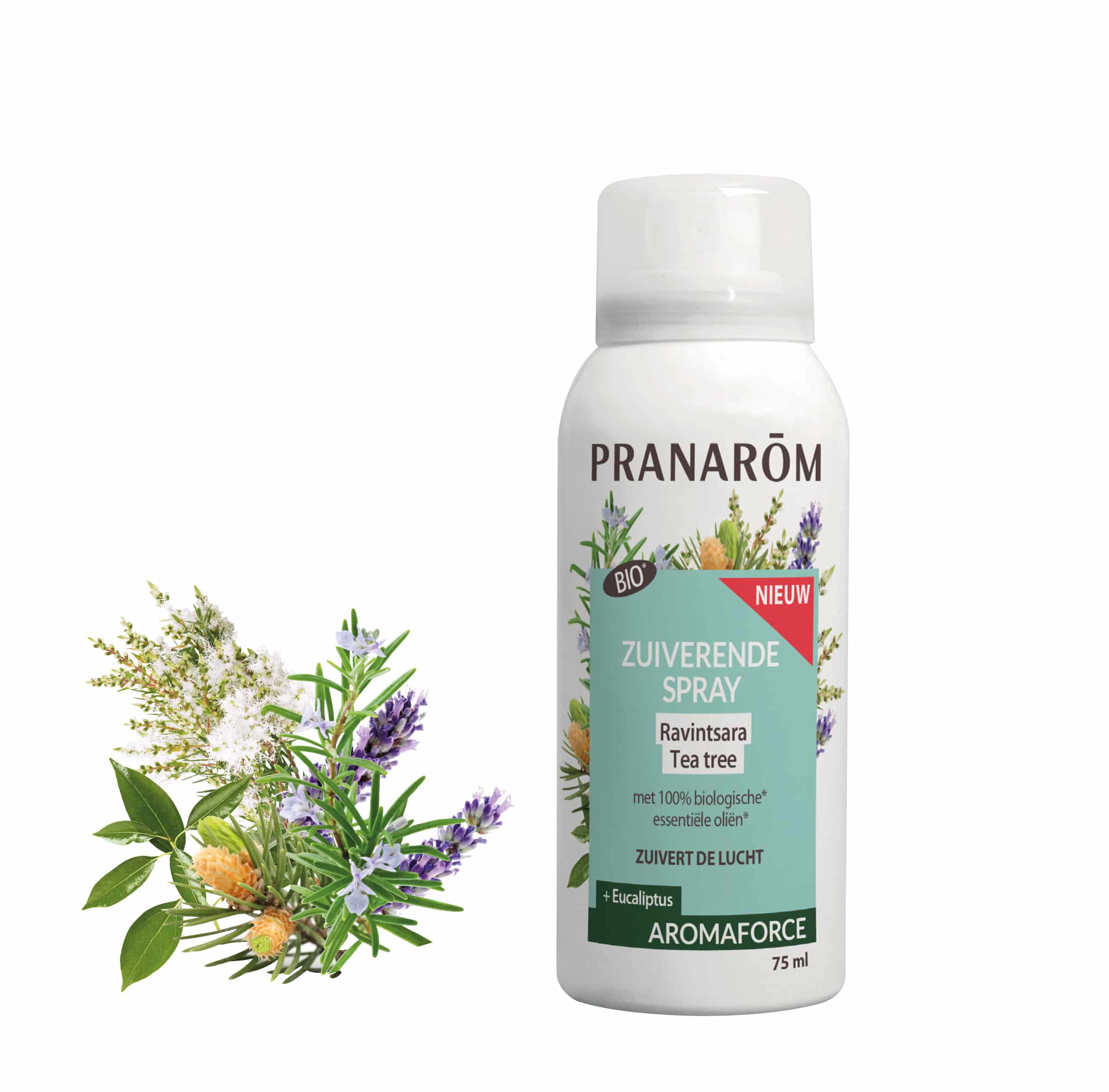 Pranarom Aromaforce Zuiverende Spray Ravintsara-Eucalyptus Pranarom Aromaforce Zuiverende Spray Ravintsara-Eucalyptus
