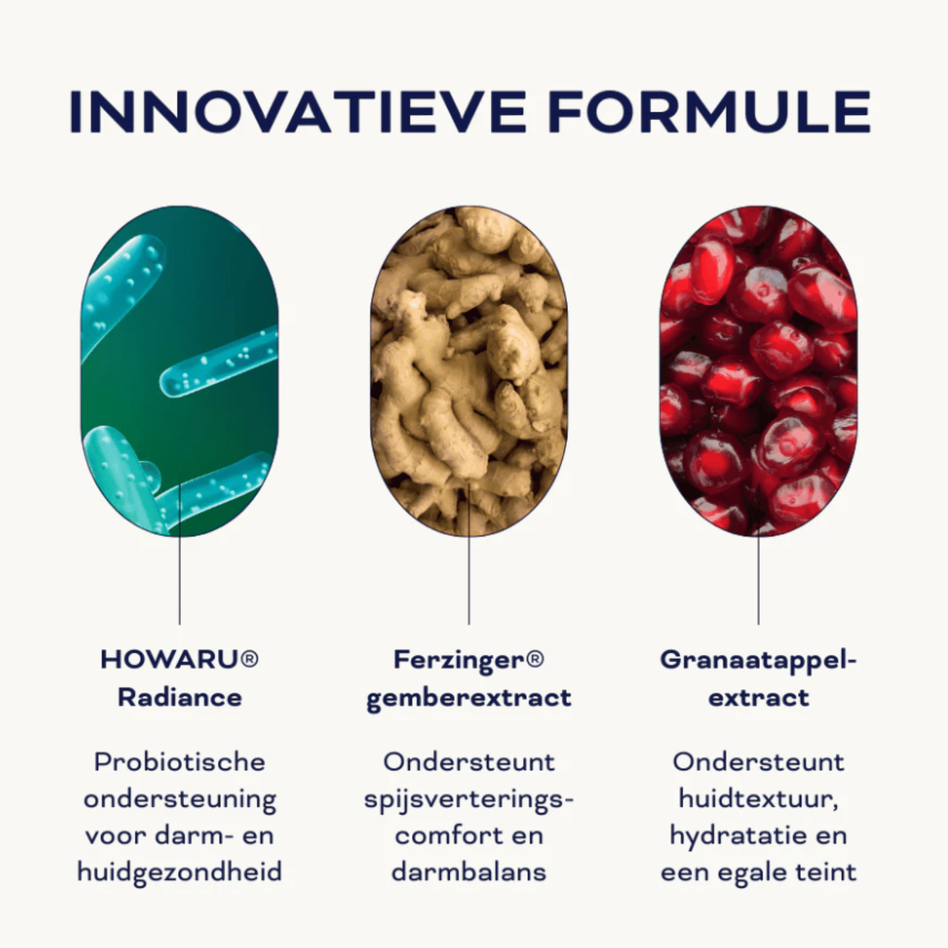 Vitasonar Good Gut Vitasonar Good Gut