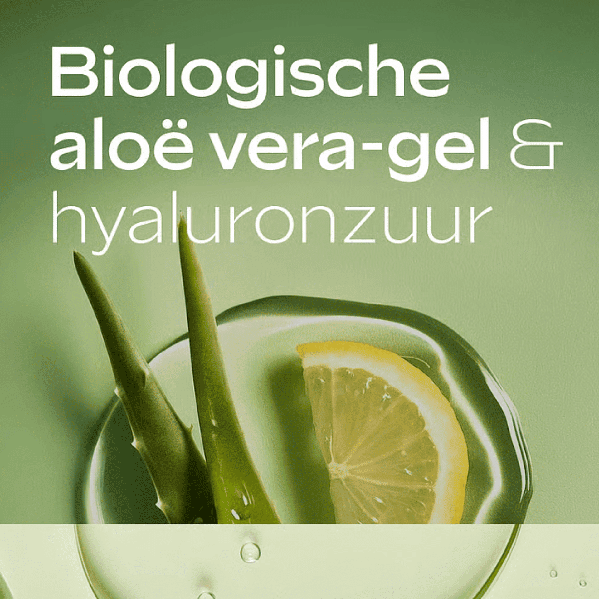 WELEDA LAIT CORPS HYDRATANT ALOE VERA 25
