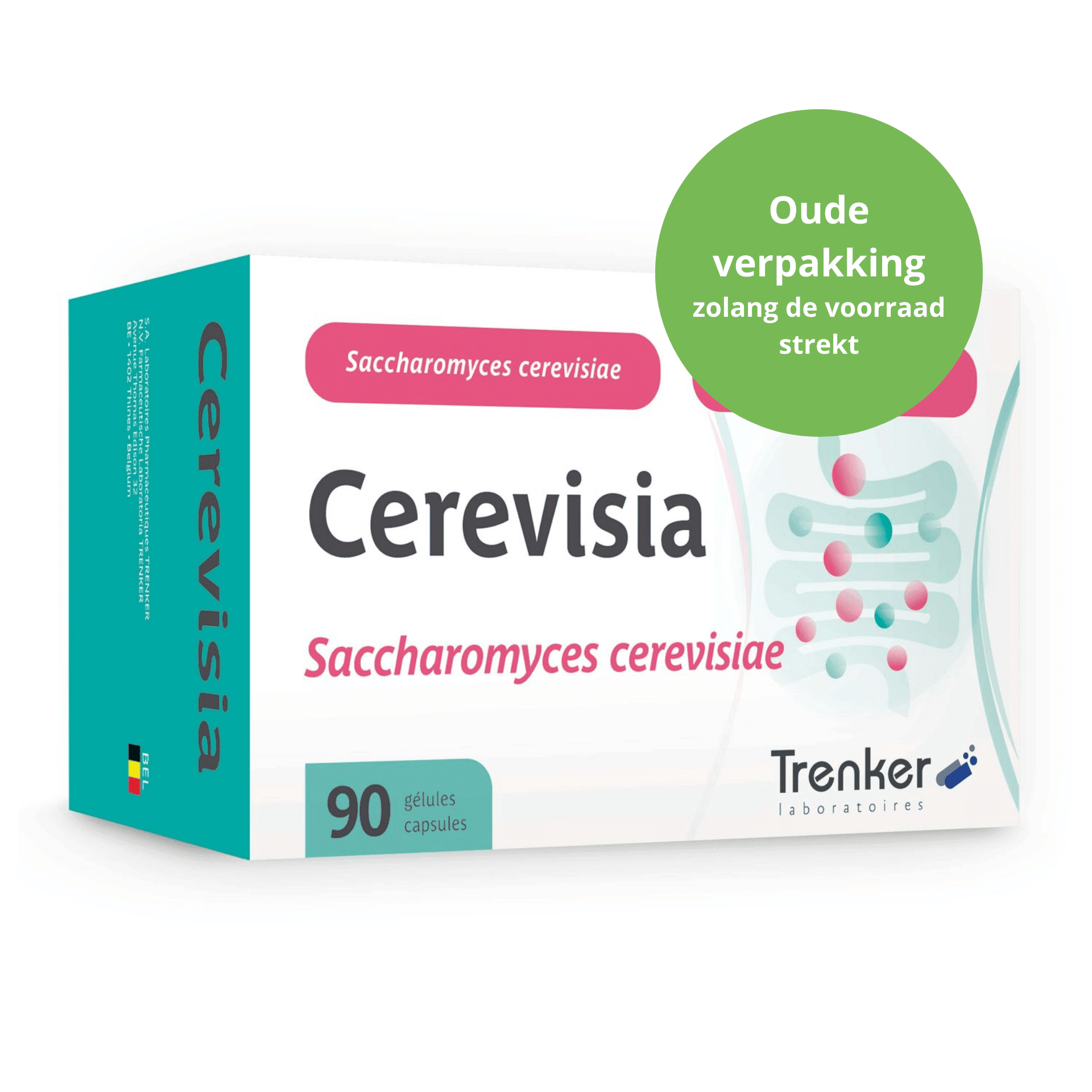 Cerevisia