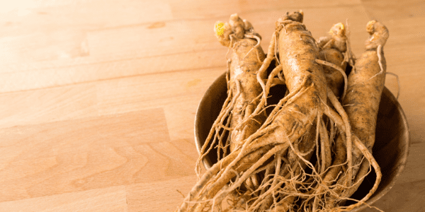 De geneeskrachtige werking van Ginseng De geneeskrachtige werking van Ginseng