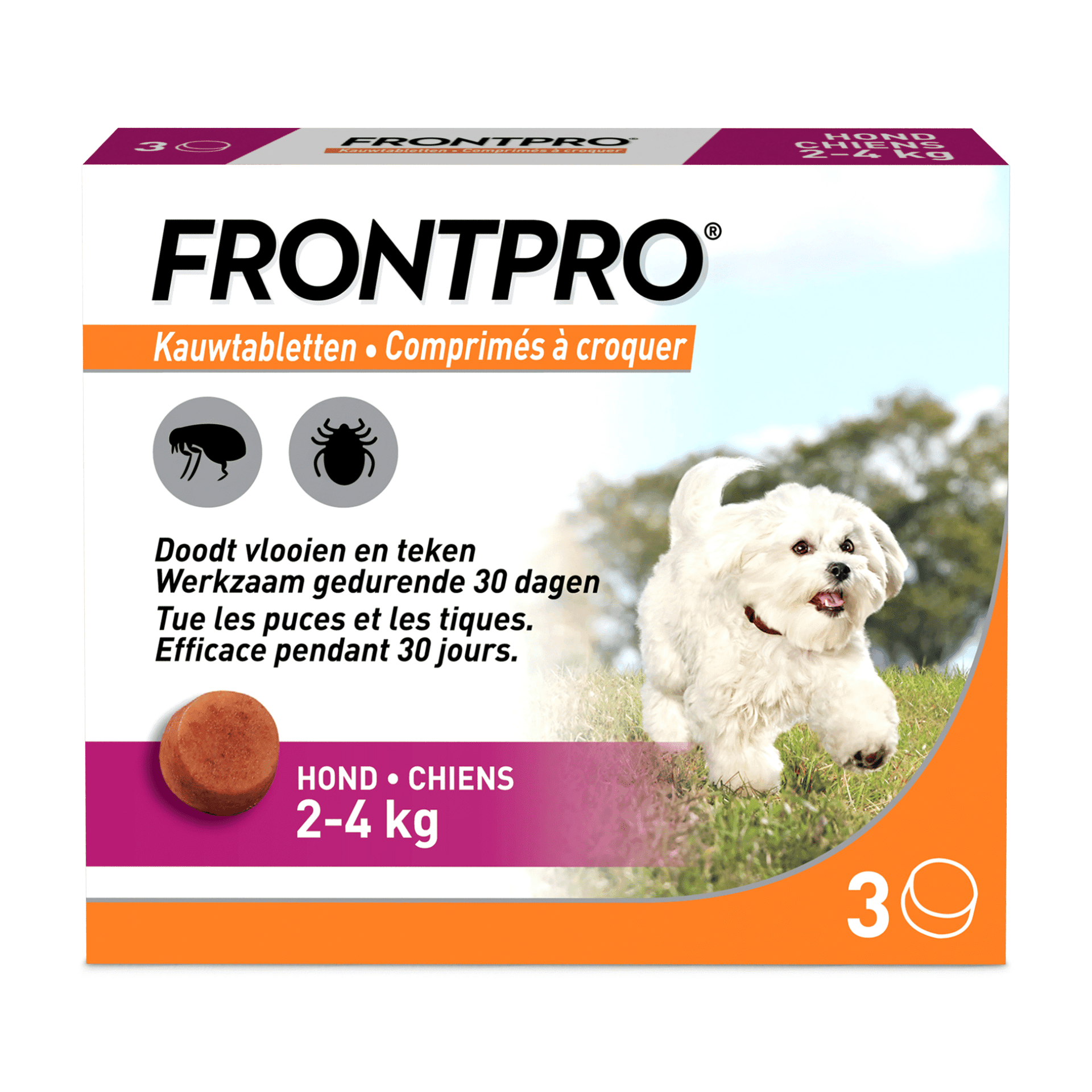 FrontPro Hond 2-4 kg