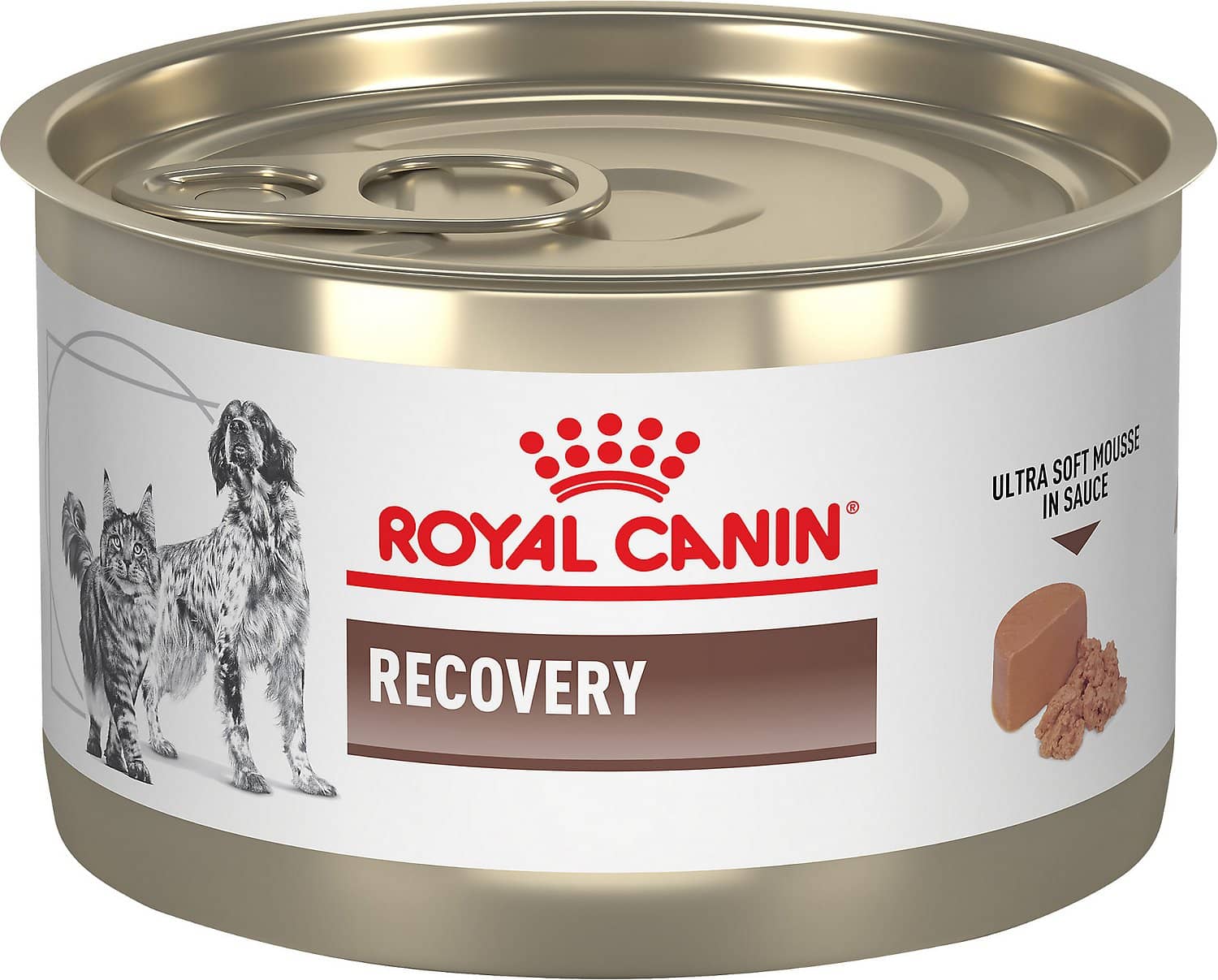 Royal Canin Veterinary Diet Canine/Feline Recovery Royal Canin Veterinary Diet Canine/Feline Recovery