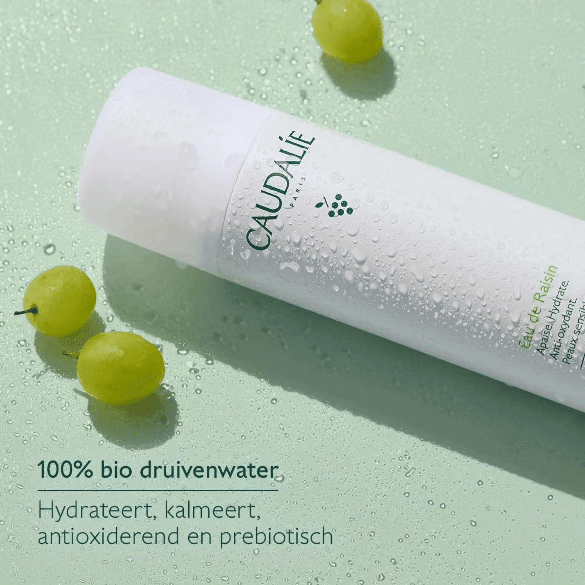 Caudalie Druivenwater Caudalie Druivenwater